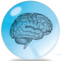 Brainclinics Foundation Logo