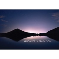 Andante Creative Arts Therapy Logo