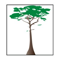 Cypress Property & Casualty Insurance Company Logo
