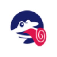 Flycatcher Internet Research Logo