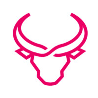 Minority BZ INC. Logo