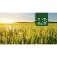 Food Italiae Srl Logo