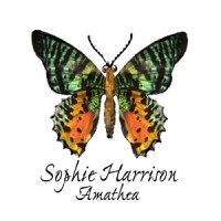 Amathea Studio Ltd. Logo