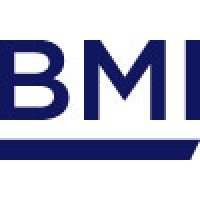 BMI Research (A Fitch Group Company) Logo