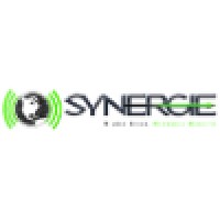 Synergie Tech Solutions, LLC Logo