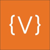 Vivid Image Logo