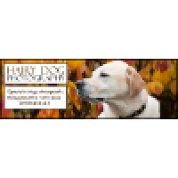 Hairy Dog Photography Logo