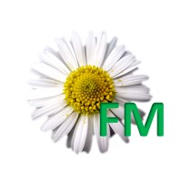 DAISYFM LIMITED Logo