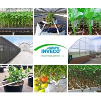 INVECO Logo