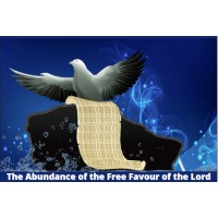 SURE FOUNDATION TRANSCEND MINISTRIES Logo