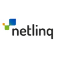 NETLINQ LIMITED Logo