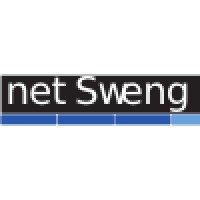 netSweng, LLC Logo