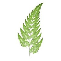 Fern ICT Limited Logo
