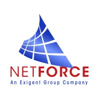 Netforce Ltd Logo