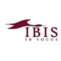 IBIS in Focus Ltd Logo