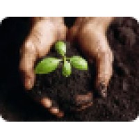 Natural Stress Therapy Logo