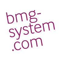 BMG SYSTEM Logo