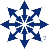 Human Synergistics Logo