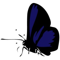 DRUNKEN BUTTERFLY LIMITED Logo