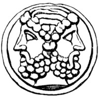 Ianos Ltd Logo