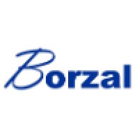 Borzal Consulting Logo