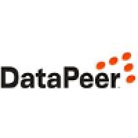 DataPeer Solutions Logo