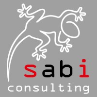 sabi consulting s.r.o., Czech Republic Logo