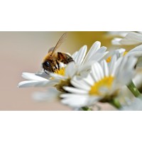 BACK TO NATURE SKINCARE LIMITED Logo