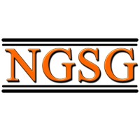 New Generation Sales Group Logo
