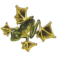 Flying Frog Consultancy Ltd. Logo