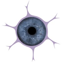 ForBrains Ltd Logo