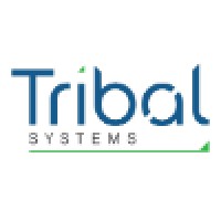 Tribal Systems Logo