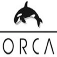 Orca Logic Ltd Logo