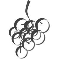 Calitor Limited Logo
