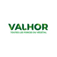 VALHOR Logo