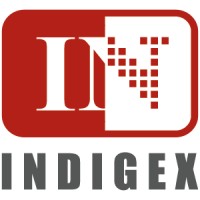 INDIGEX Logo