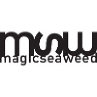 magicseaweed Logo