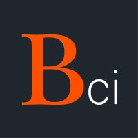 Bonfire Creative Intelligence Logo