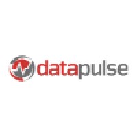 Datapulse B.V. Logo