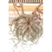 Rainforest Flora Inc Logo