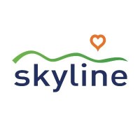 Skyline IFE Ltd Logo
