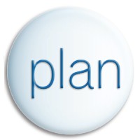 Plan in Motion Inc. Logo