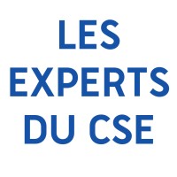 Les experts du CSE Logo