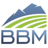 BBM Financial Services, Inc. Logo