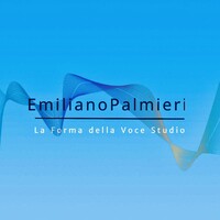 Musicista indipendente Logo