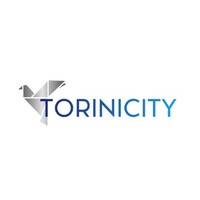 TORINICITY LIMITED Logo