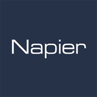 Napier Partnership Limited Logo