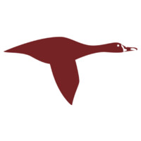 Wild Goose Websites Logo