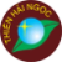 THN Solutions Logo