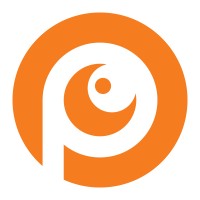Project Vision Logo